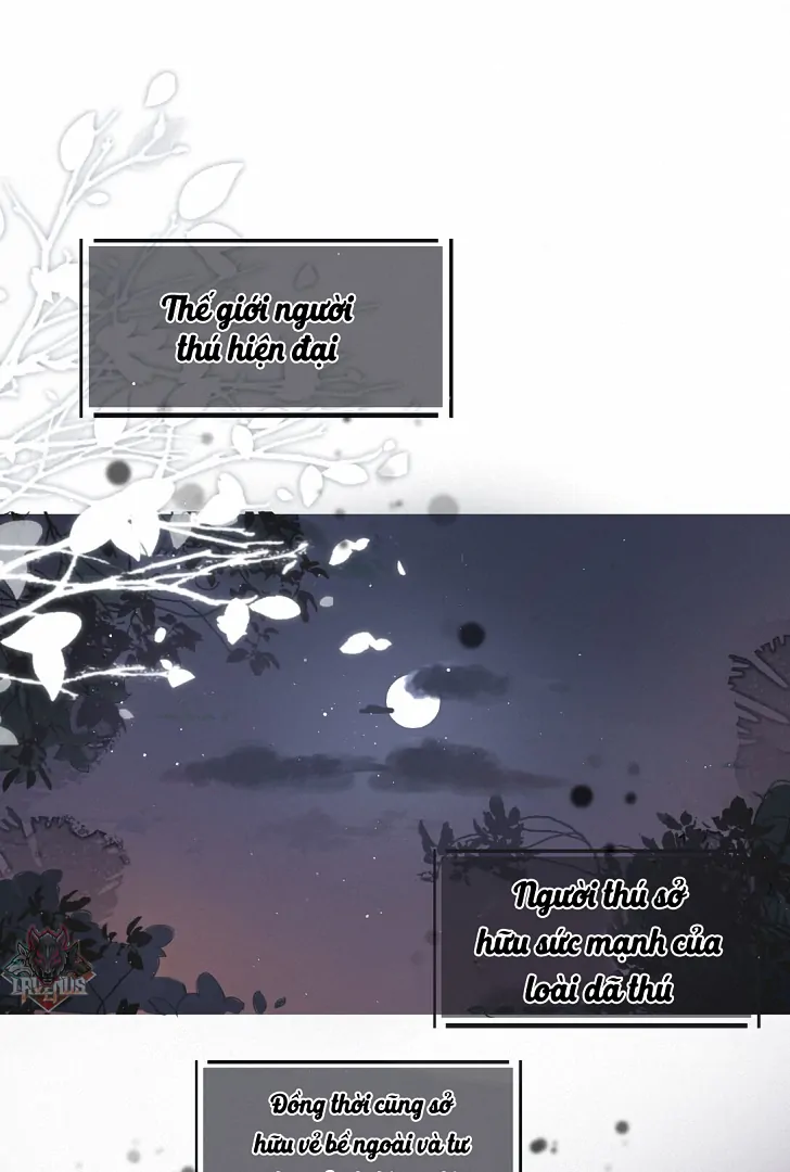 Sói Tiểu Thư Và Em Gái Hồ Ly Của Tôi Chapter 1 - Trang 2