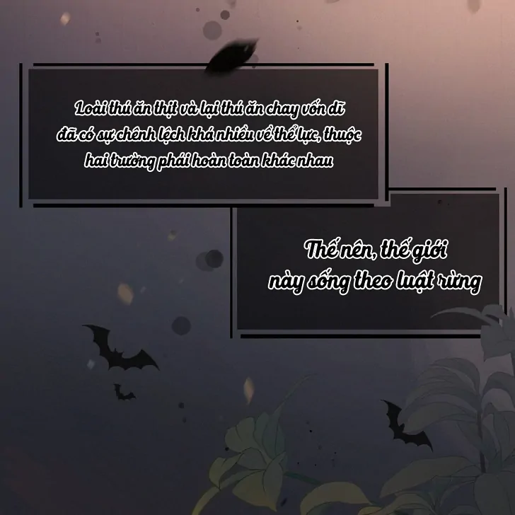 Sói Tiểu Thư Và Em Gái Hồ Ly Của Tôi Chapter 1 - Trang 2