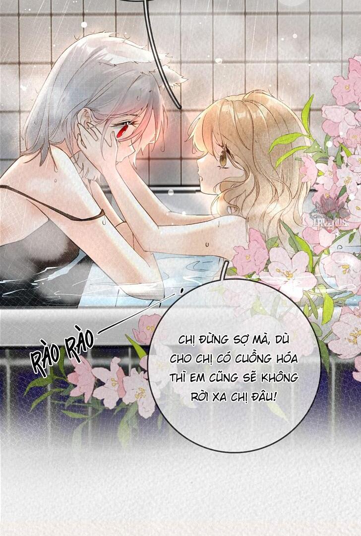 Sói Tiểu Thư Và Em Gái Hồ Ly Của Tôi Chapter 1 - Trang 2