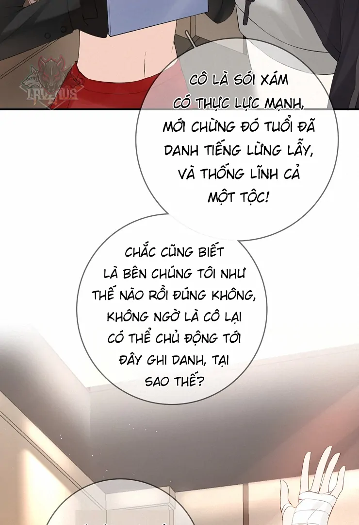Sói Tiểu Thư Và Em Gái Hồ Ly Của Tôi Chapter 10 - Trang 2