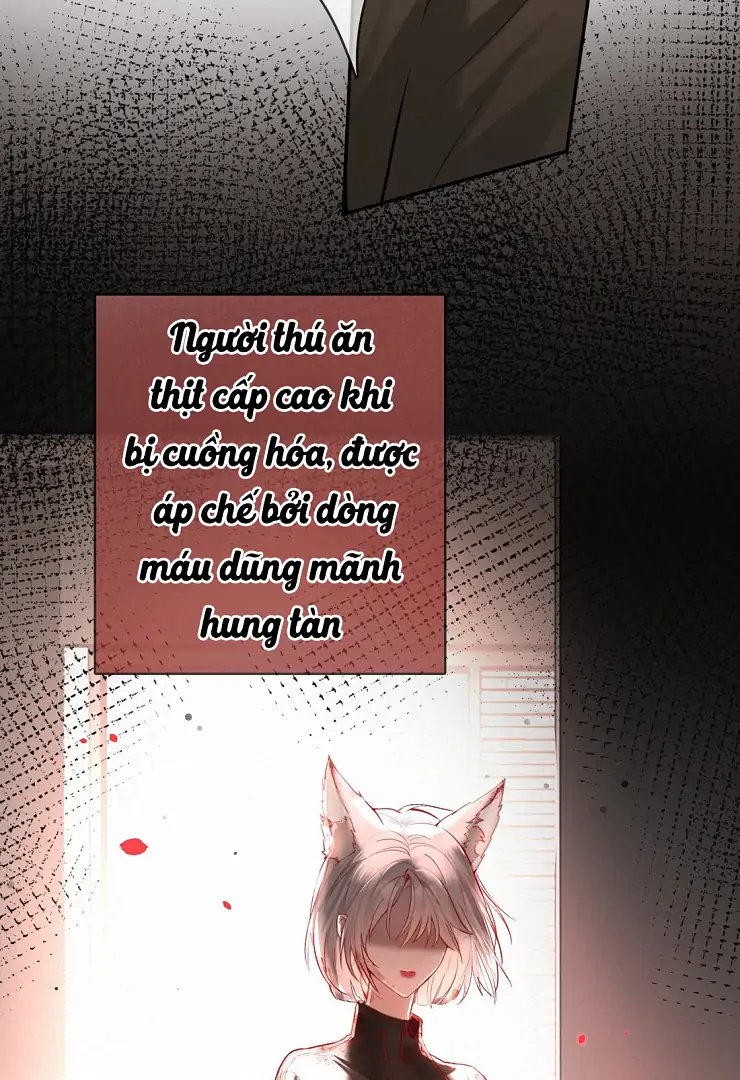 Sói Tiểu Thư Và Em Gái Hồ Ly Của Tôi Chapter 11 - Trang 2