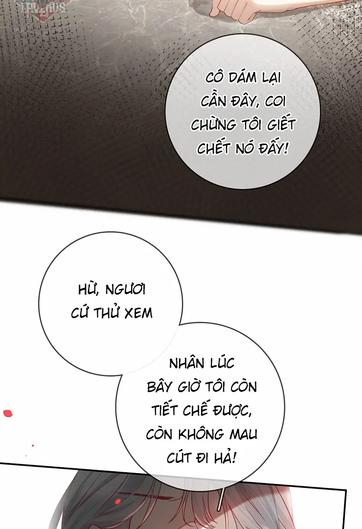 Sói Tiểu Thư Và Em Gái Hồ Ly Của Tôi Chapter 11 - Trang 2