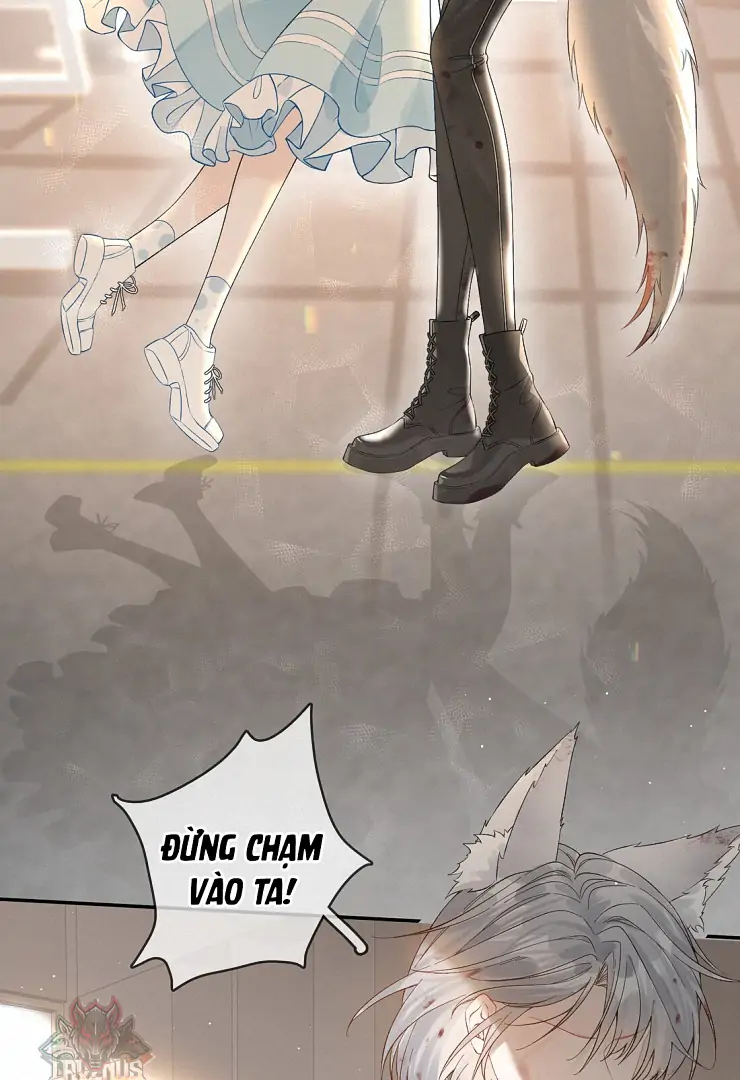 Sói Tiểu Thư Và Em Gái Hồ Ly Của Tôi Chapter 11 - Trang 2