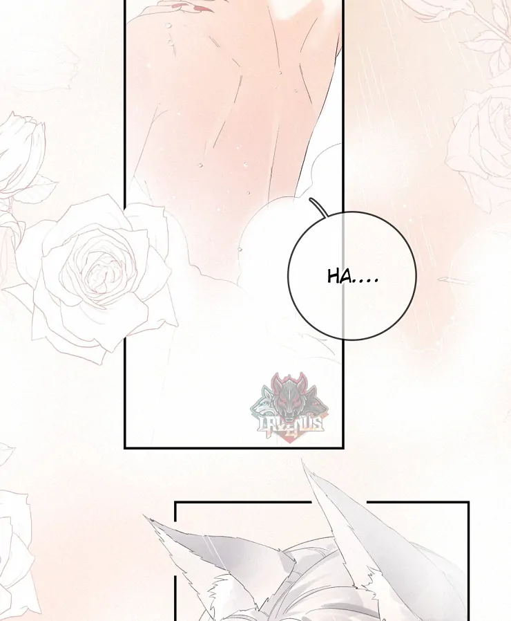 Sói Tiểu Thư Và Em Gái Hồ Ly Của Tôi Chapter 11 - Trang 2