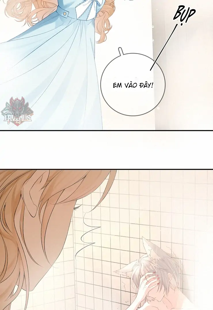 Sói Tiểu Thư Và Em Gái Hồ Ly Của Tôi Chapter 11 - Trang 2