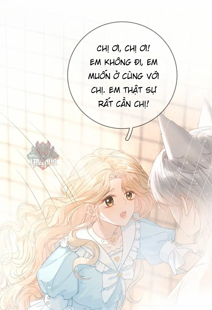 Sói Tiểu Thư Và Em Gái Hồ Ly Của Tôi Chapter 11 - Trang 2