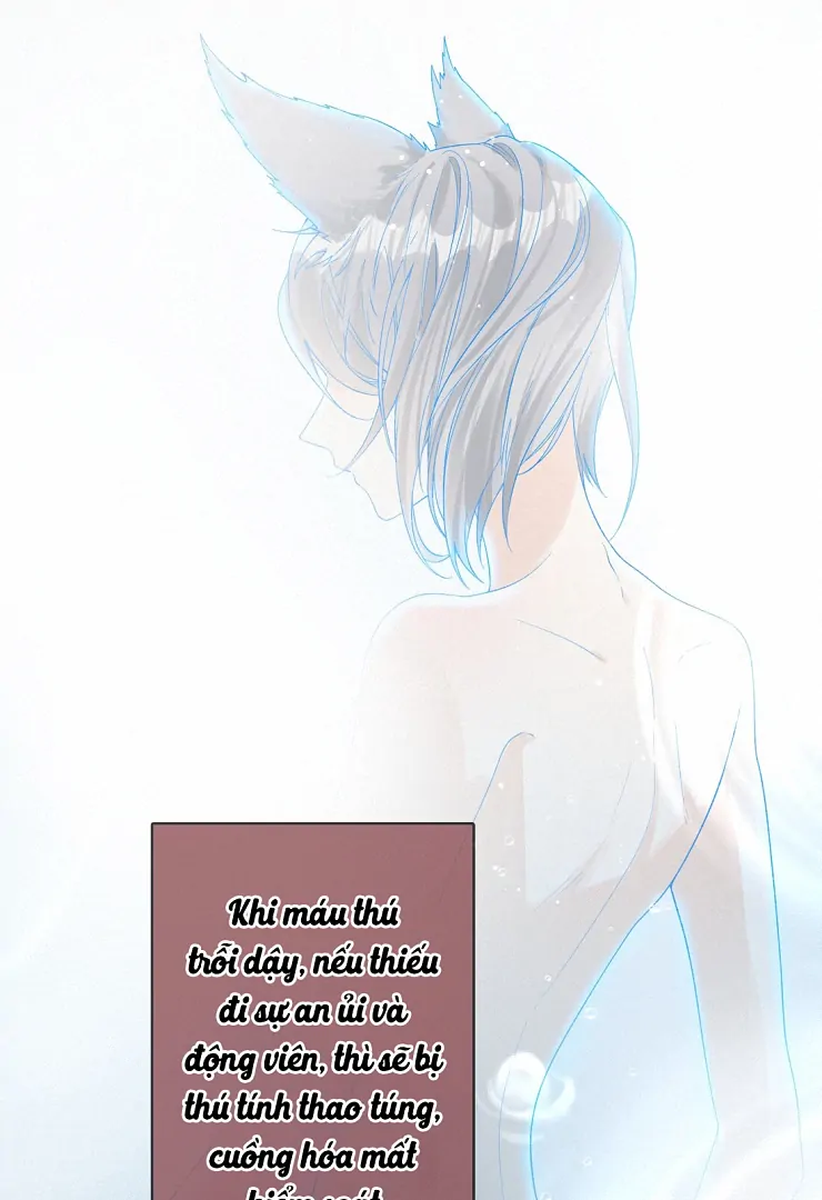 Sói Tiểu Thư Và Em Gái Hồ Ly Của Tôi Chapter 11 - Trang 2