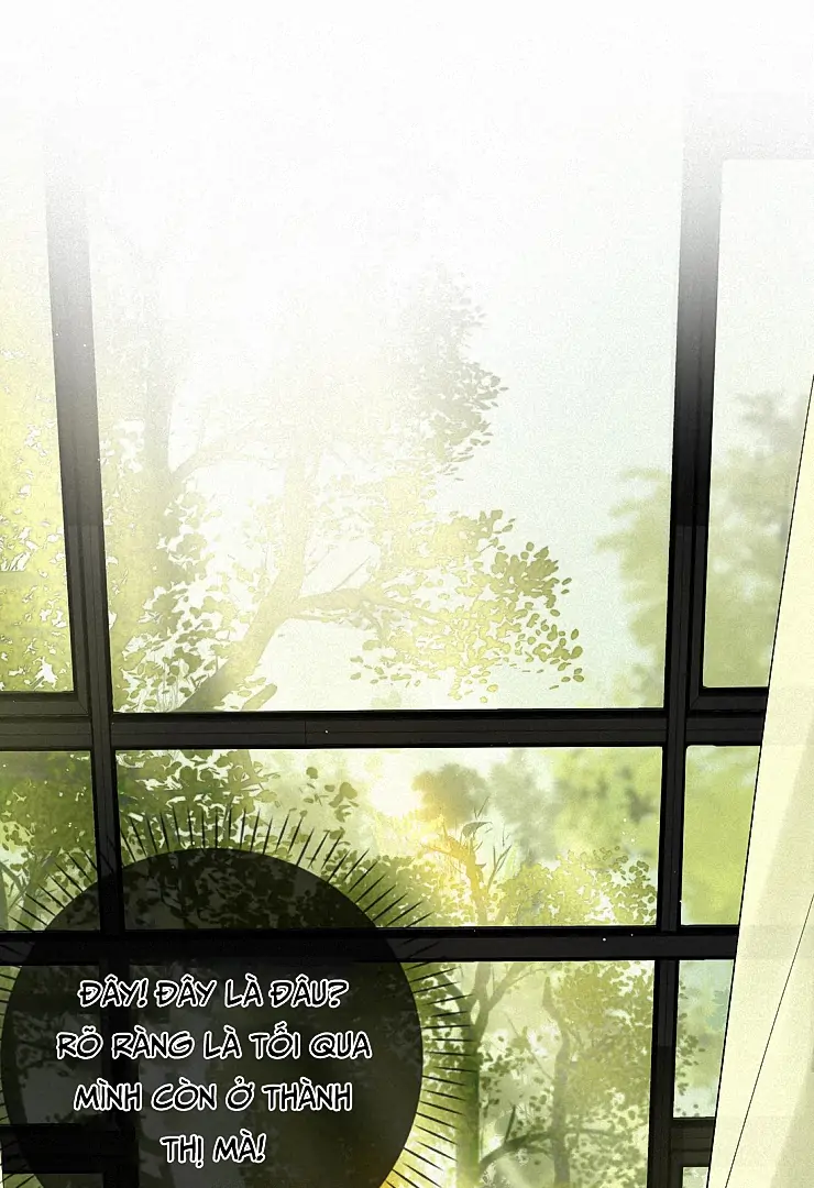 Sói Tiểu Thư Và Em Gái Hồ Ly Của Tôi Chapter 13 - Trang 2