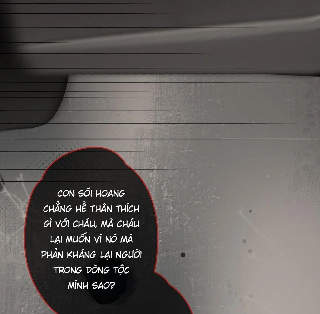 Sói Tiểu Thư Và Em Gái Hồ Ly Của Tôi Chapter 14 - Trang 2