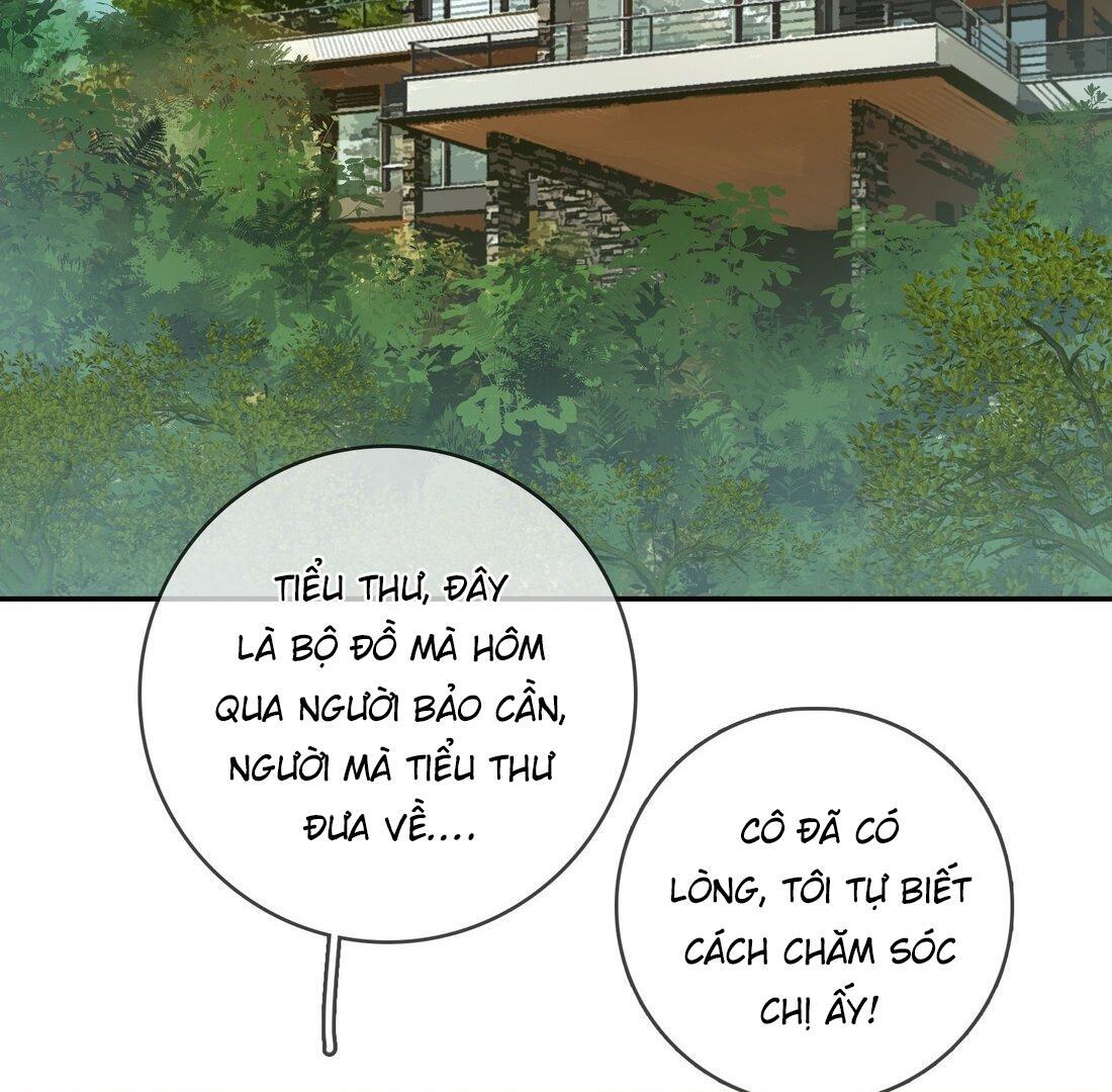 Sói Tiểu Thư Và Em Gái Hồ Ly Của Tôi Chapter 14 - Trang 2