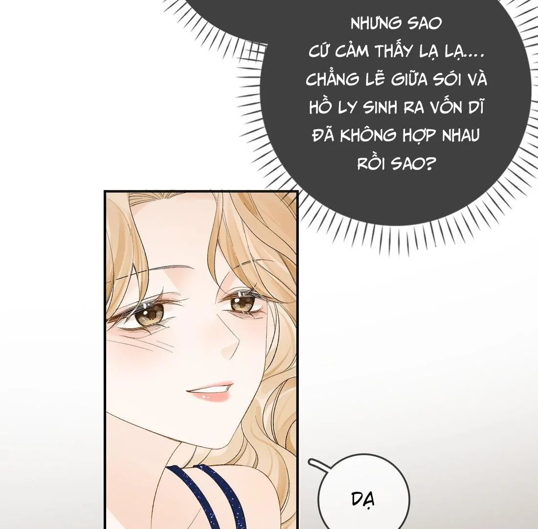 Sói Tiểu Thư Và Em Gái Hồ Ly Của Tôi Chapter 15 - Trang 2