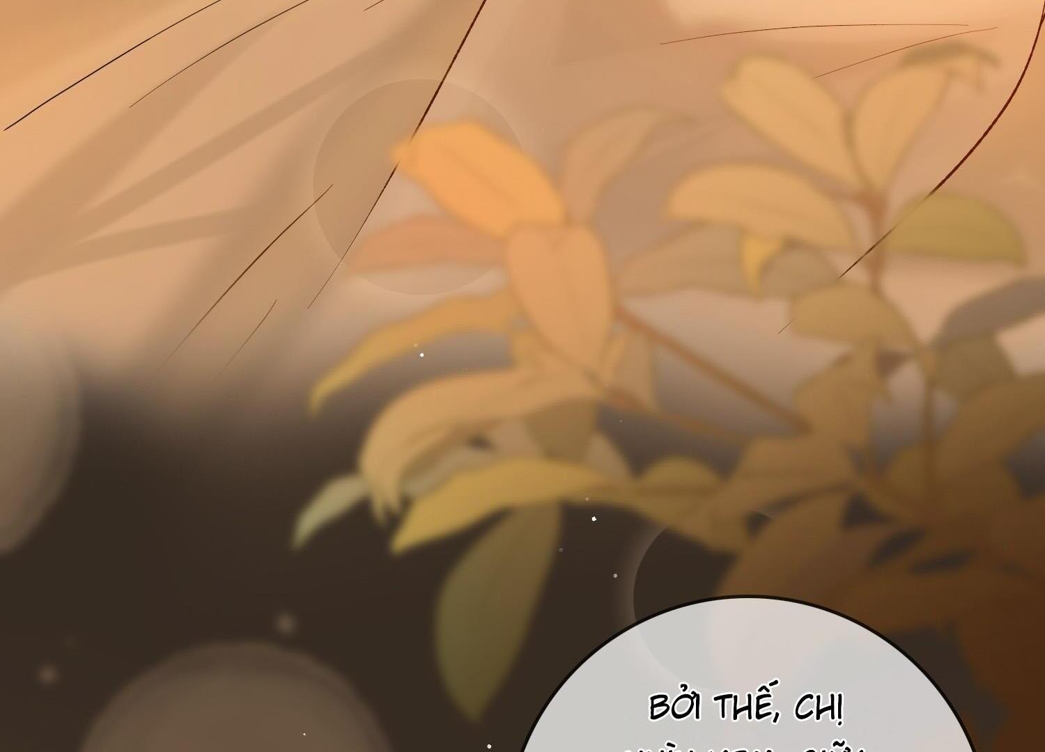 Sói Tiểu Thư Và Em Gái Hồ Ly Của Tôi Chapter 17 - Trang 2