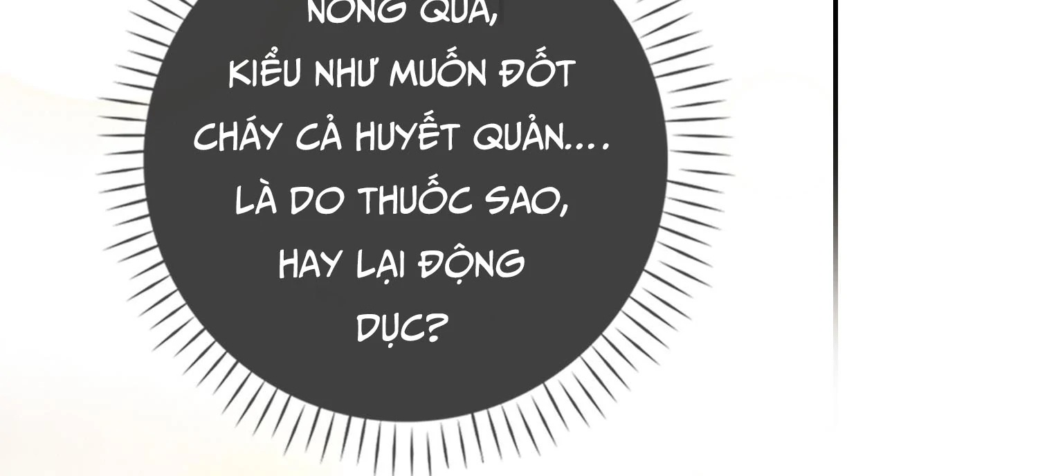 Sói Tiểu Thư Và Em Gái Hồ Ly Của Tôi Chapter 17 - Trang 2