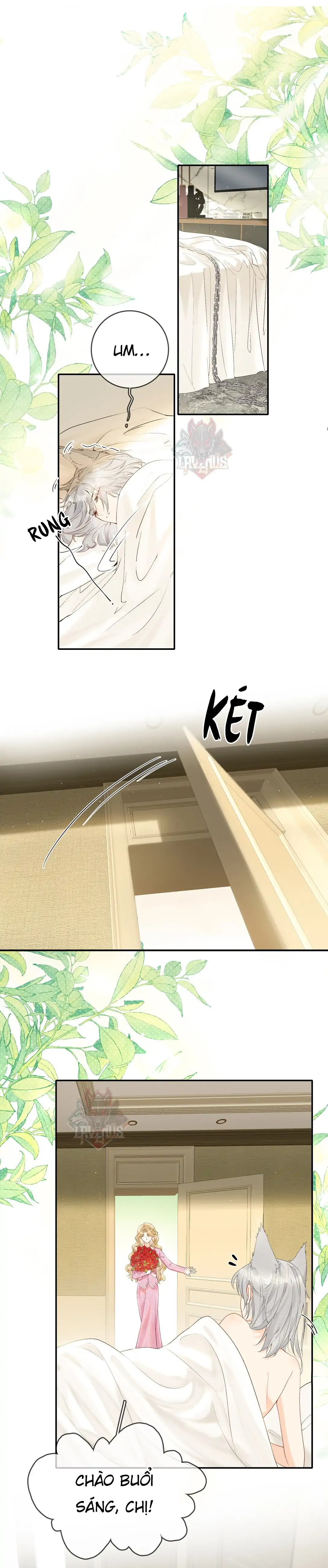 Sói Tiểu Thư Và Em Gái Hồ Ly Của Tôi Chapter 18 - Trang 2