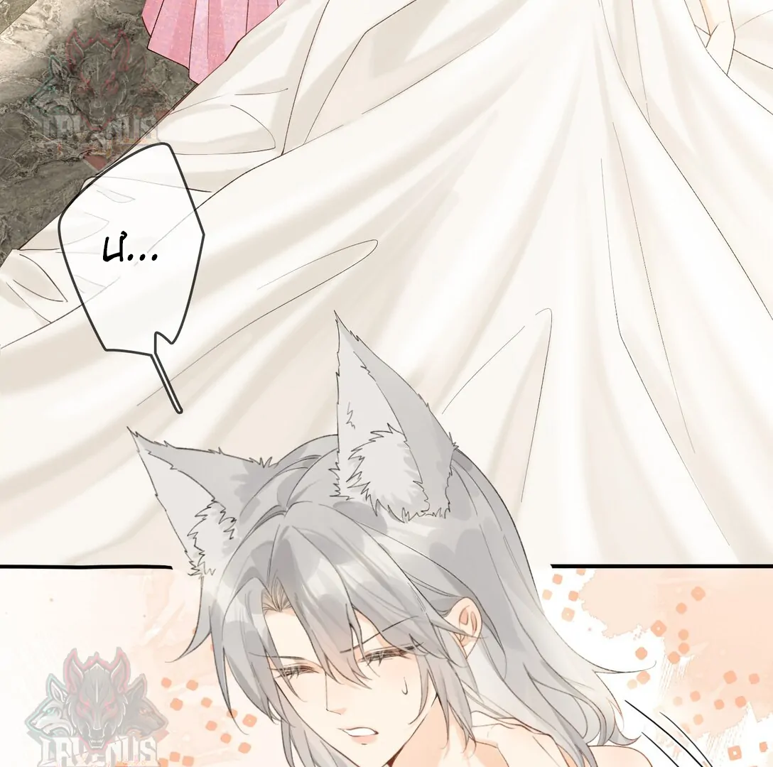 Sói Tiểu Thư Và Em Gái Hồ Ly Của Tôi Chapter 18 - Trang 2