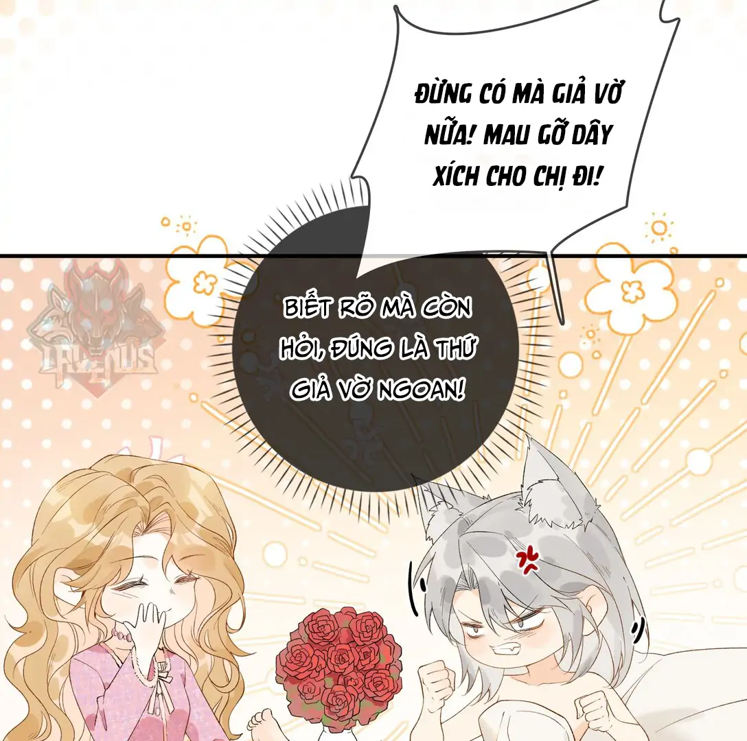 Sói Tiểu Thư Và Em Gái Hồ Ly Của Tôi Chapter 18 - Trang 2
