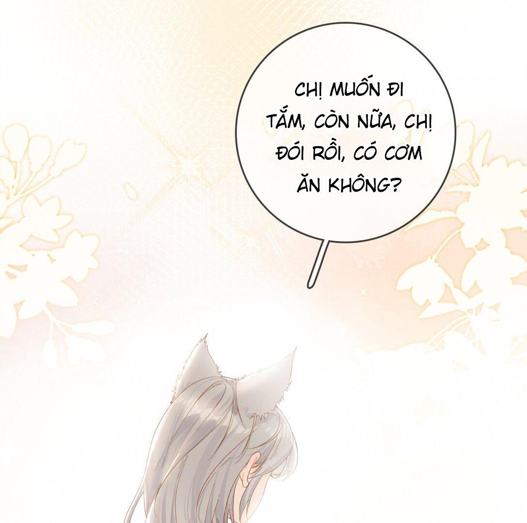 Sói Tiểu Thư Và Em Gái Hồ Ly Của Tôi Chapter 18 - Trang 2