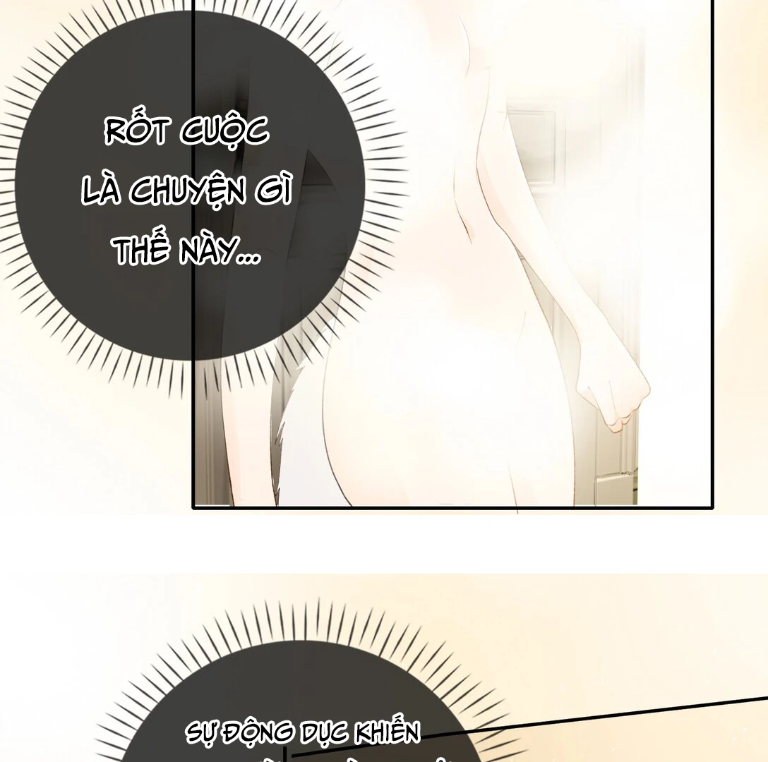 Sói Tiểu Thư Và Em Gái Hồ Ly Của Tôi Chapter 18 - Trang 2