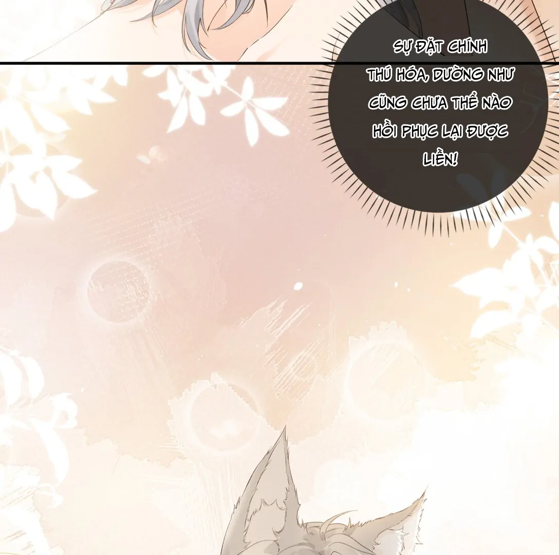 Sói Tiểu Thư Và Em Gái Hồ Ly Của Tôi Chapter 18 - Trang 2