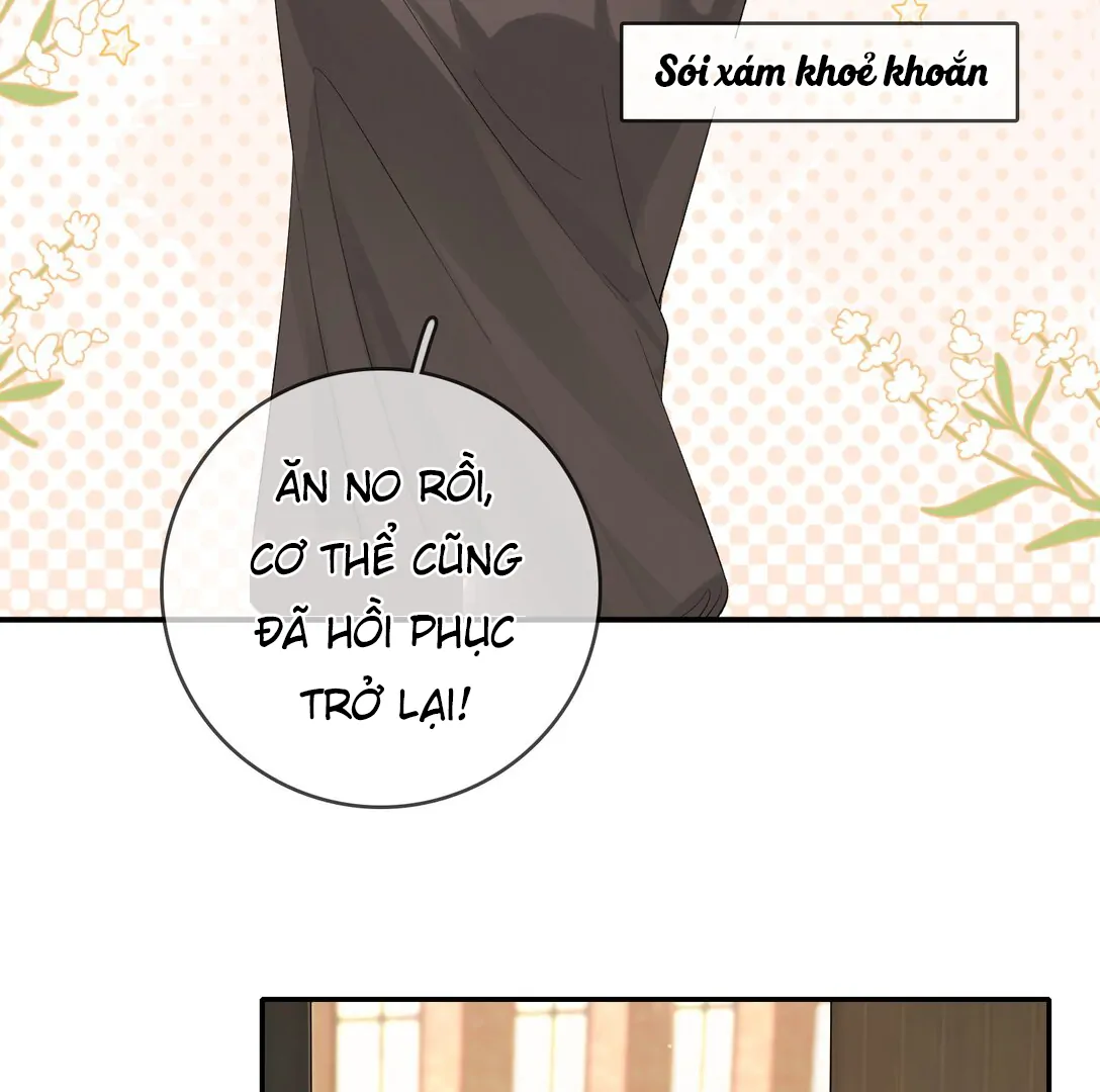 Sói Tiểu Thư Và Em Gái Hồ Ly Của Tôi Chapter 18 - Trang 2