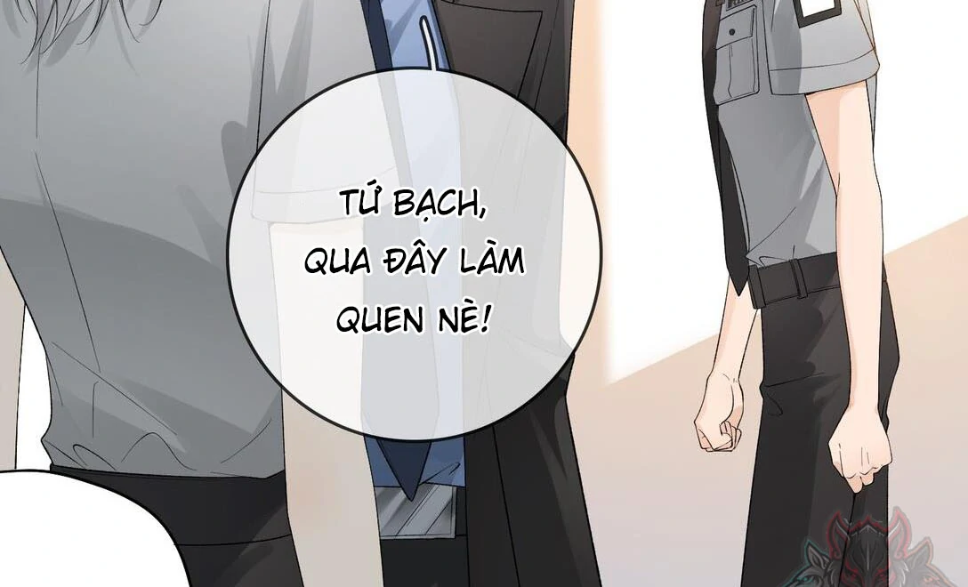 Sói Tiểu Thư Và Em Gái Hồ Ly Của Tôi Chapter 19 - Trang 2