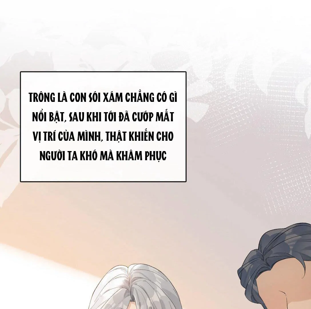 Sói Tiểu Thư Và Em Gái Hồ Ly Của Tôi Chapter 19 - Trang 2