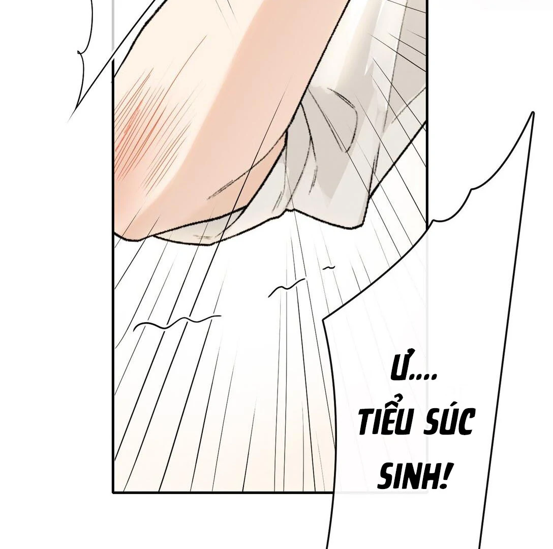 Sói Tiểu Thư Và Em Gái Hồ Ly Của Tôi Chapter 20 - Trang 2