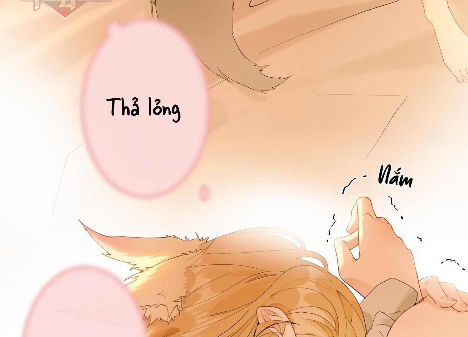 Sói Tiểu Thư Và Em Gái Hồ Ly Của Tôi Chapter 21 - Trang 2