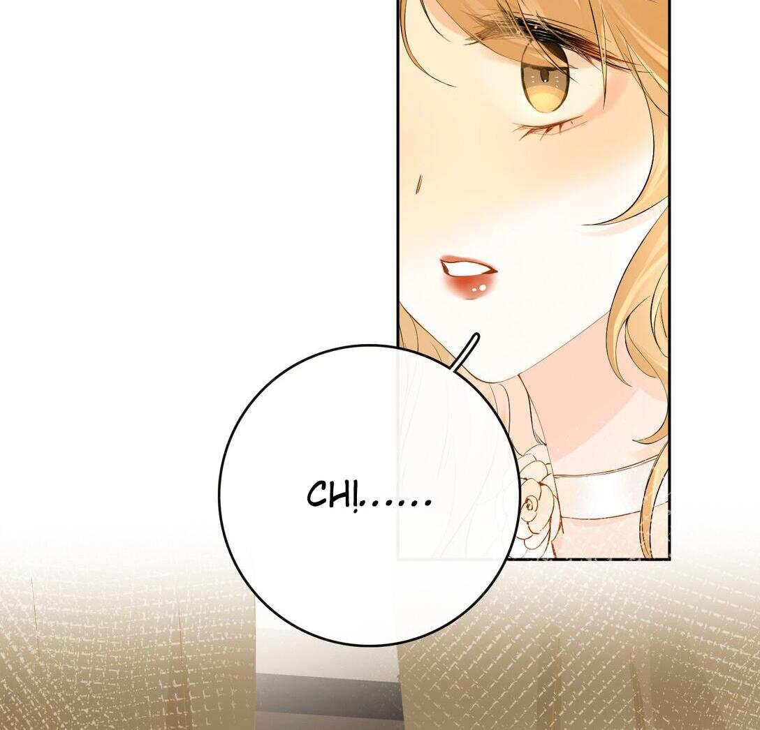 Sói Tiểu Thư Và Em Gái Hồ Ly Của Tôi Chapter 23 - Trang 2