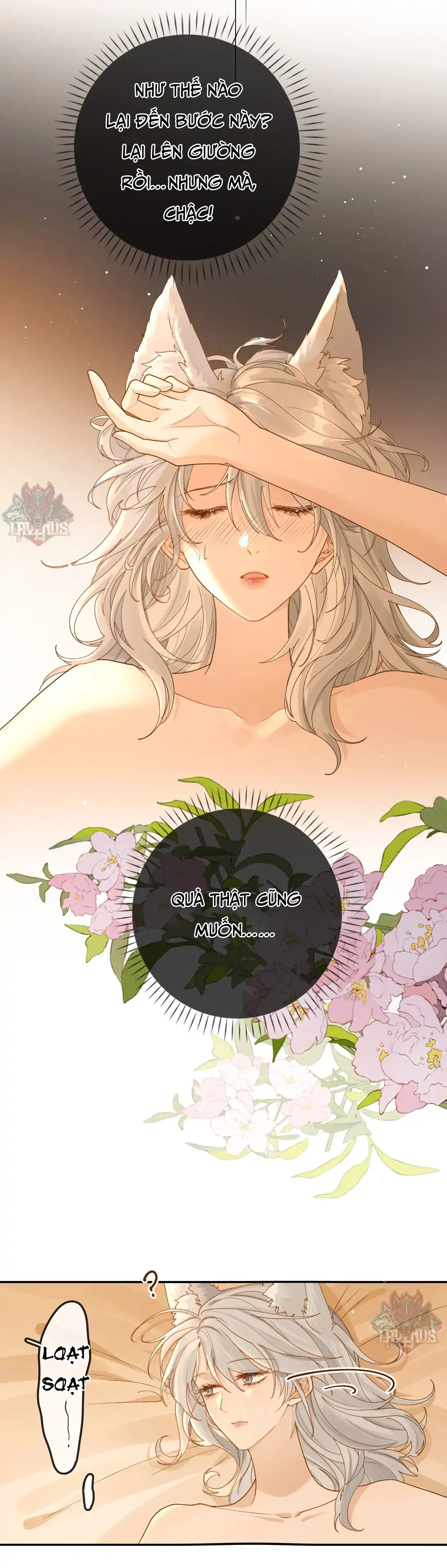 Sói Tiểu Thư Và Em Gái Hồ Ly Của Tôi Chapter 23 - Trang 2