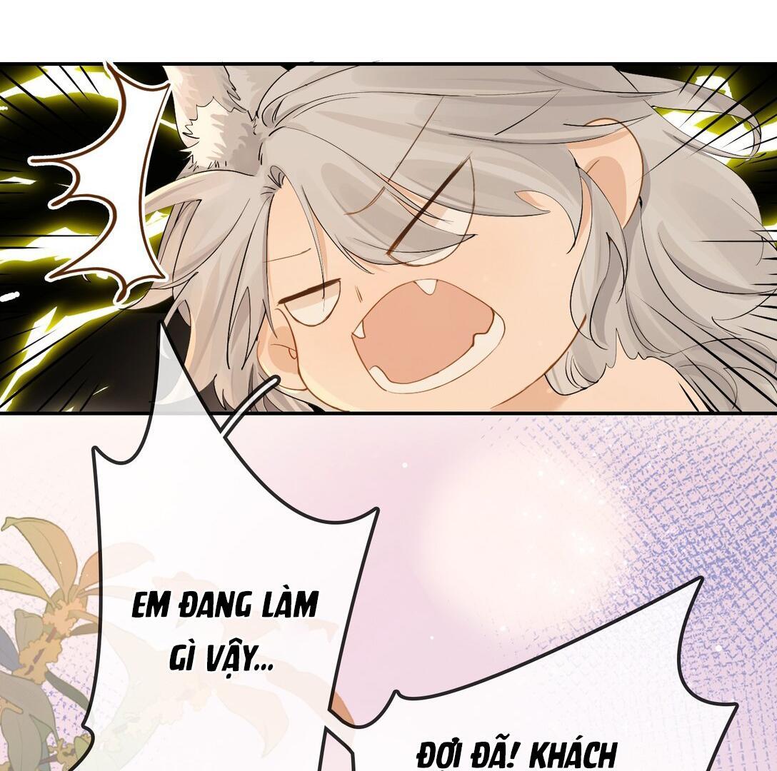 Sói Tiểu Thư Và Em Gái Hồ Ly Của Tôi Chapter 23 - Trang 2