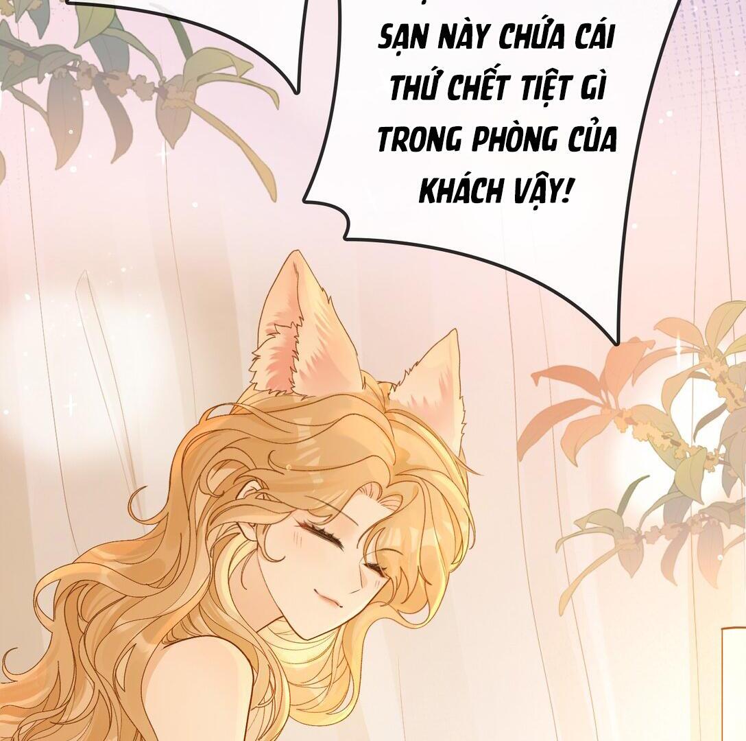 Sói Tiểu Thư Và Em Gái Hồ Ly Của Tôi Chapter 23 - Trang 2