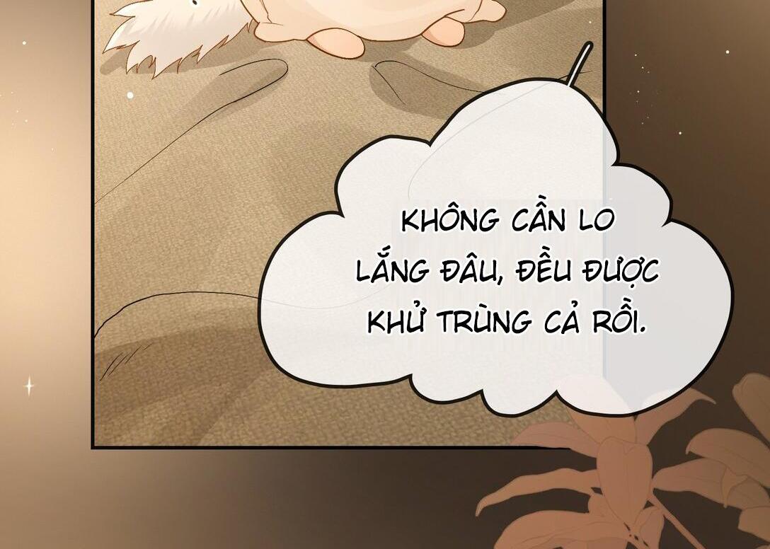 Sói Tiểu Thư Và Em Gái Hồ Ly Của Tôi Chapter 23 - Trang 2