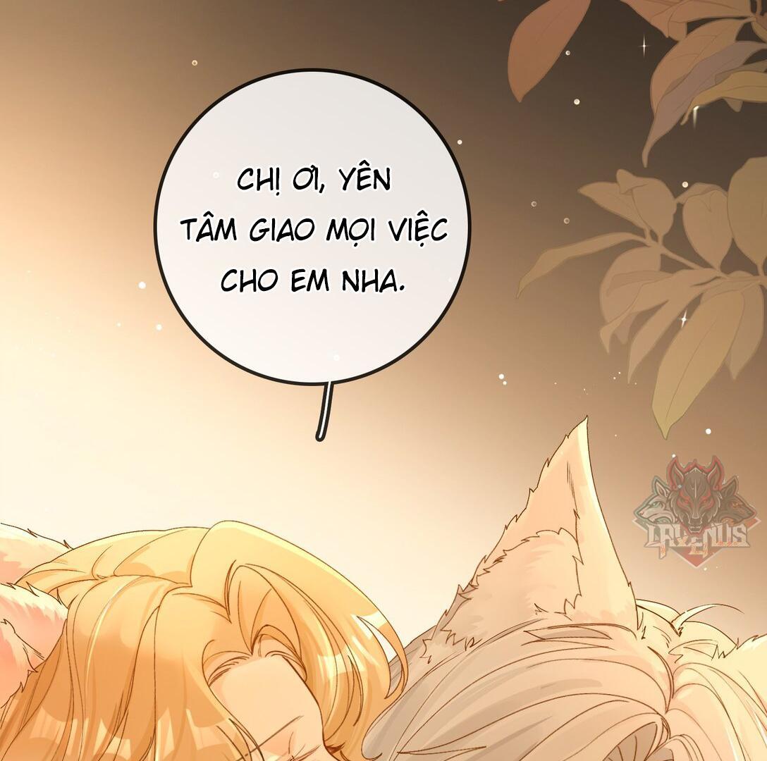 Sói Tiểu Thư Và Em Gái Hồ Ly Của Tôi Chapter 23 - Trang 2