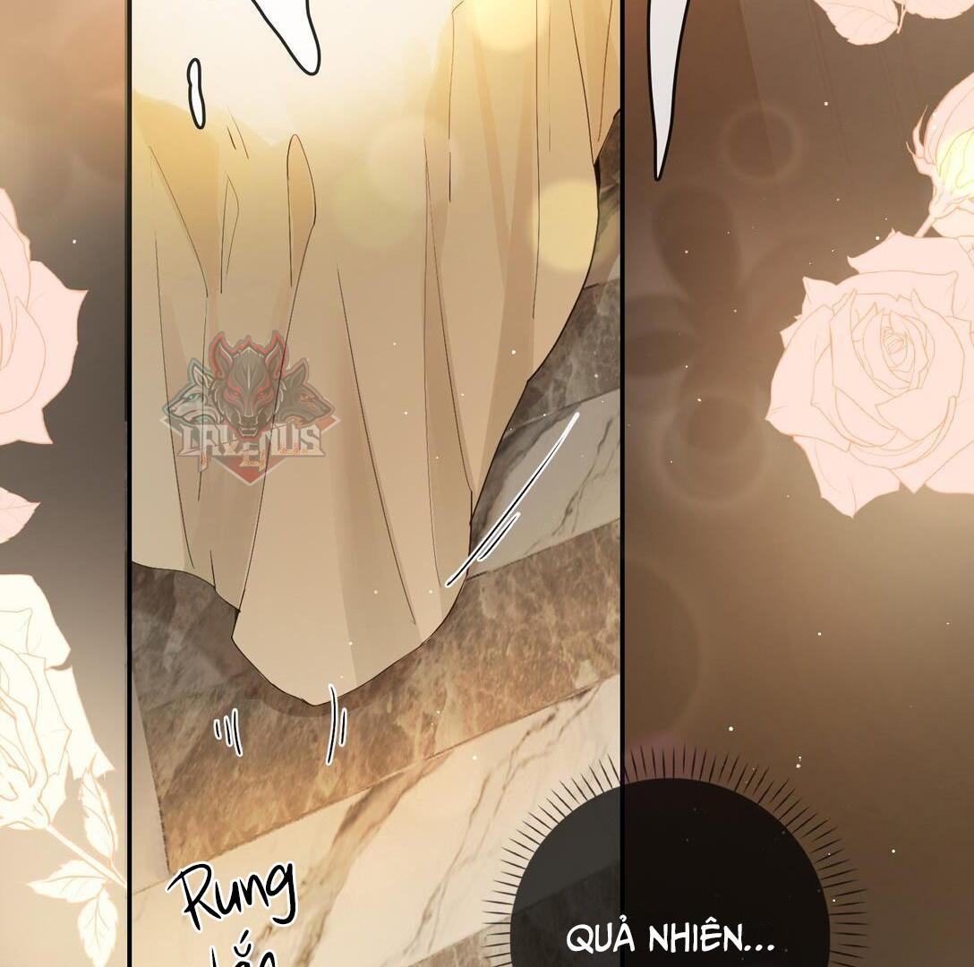 Sói Tiểu Thư Và Em Gái Hồ Ly Của Tôi Chapter 24 - Trang 2