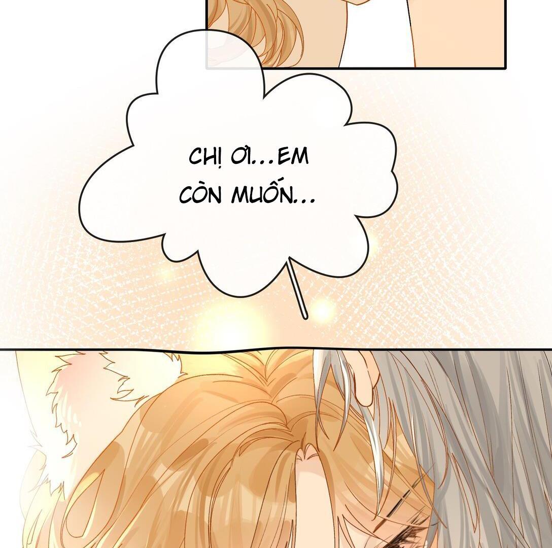 Sói Tiểu Thư Và Em Gái Hồ Ly Của Tôi Chapter 24 - Trang 2