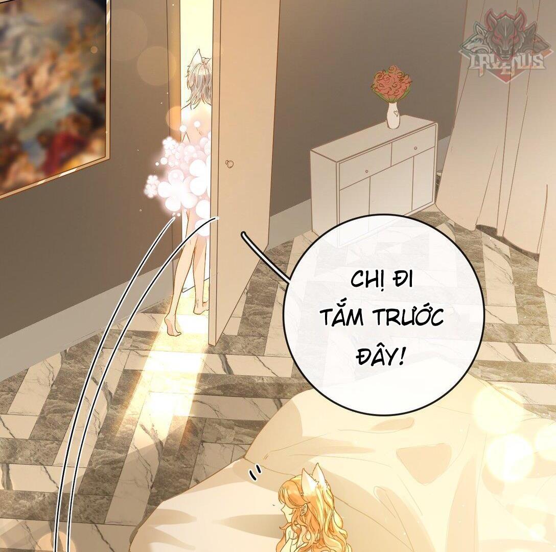 Sói Tiểu Thư Và Em Gái Hồ Ly Của Tôi Chapter 24 - Trang 2