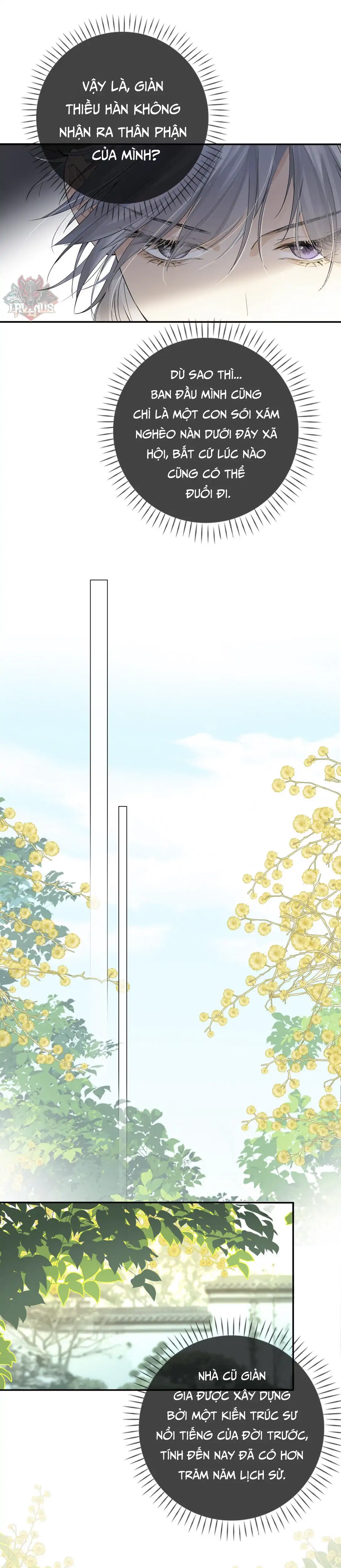 Sói Tiểu Thư Và Em Gái Hồ Ly Của Tôi Chapter 26 - Trang 2
