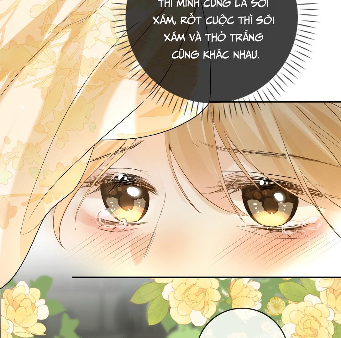 Sói Tiểu Thư Và Em Gái Hồ Ly Của Tôi Chapter 27 - Trang 2