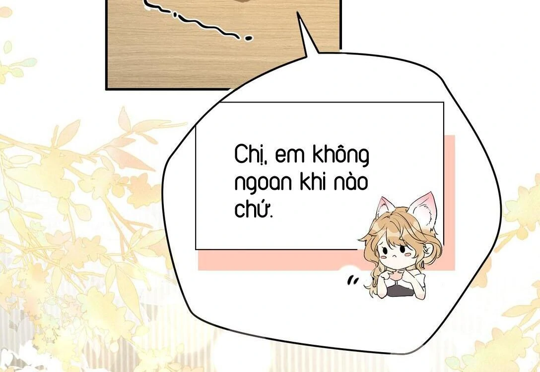 Sói Tiểu Thư Và Em Gái Hồ Ly Của Tôi Chapter 27 - Trang 2