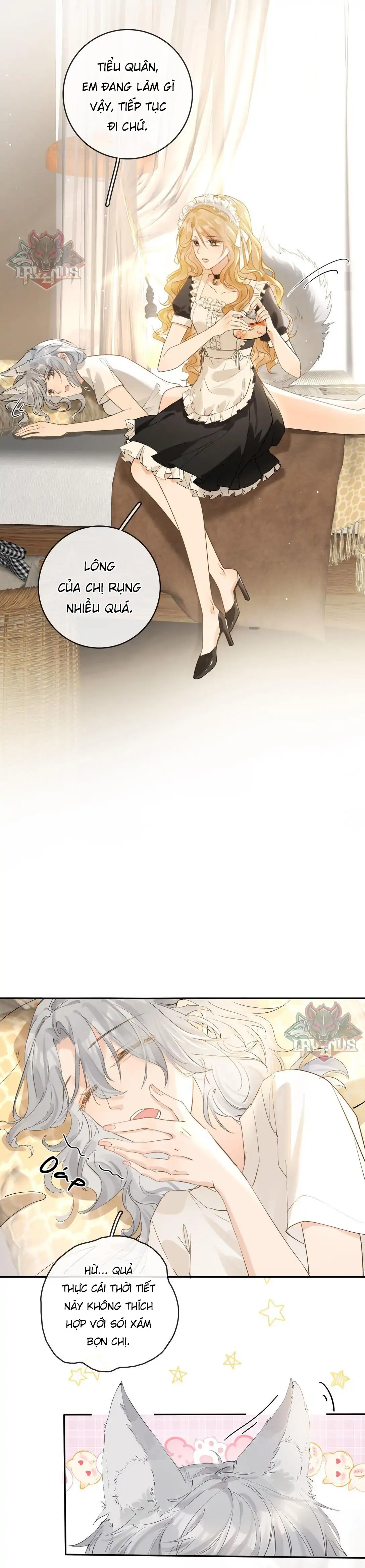 Sói Tiểu Thư Và Em Gái Hồ Ly Của Tôi Chapter 31 - Trang 2