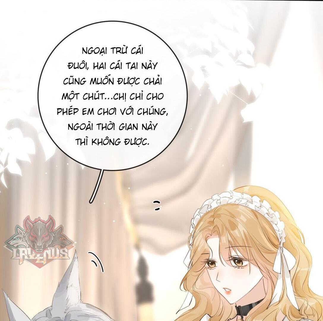 Sói Tiểu Thư Và Em Gái Hồ Ly Của Tôi Chapter 31 - Trang 2