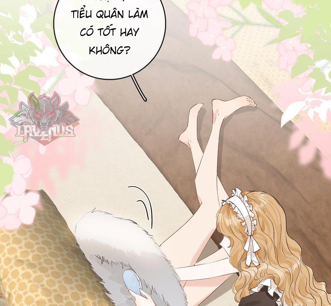 Sói Tiểu Thư Và Em Gái Hồ Ly Của Tôi Chapter 31 - Trang 2