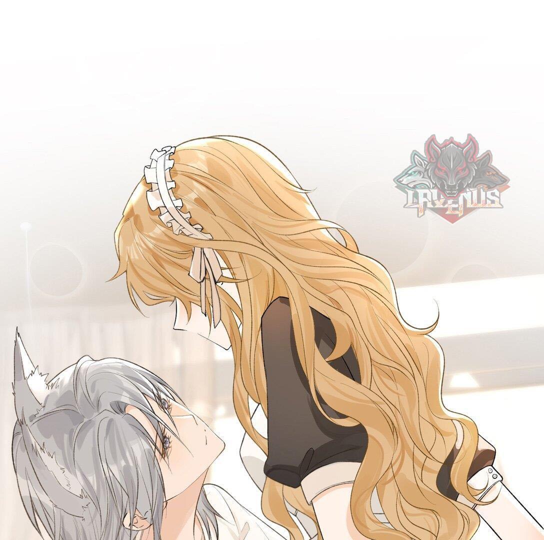 Sói Tiểu Thư Và Em Gái Hồ Ly Của Tôi Chapter 31 - Trang 2