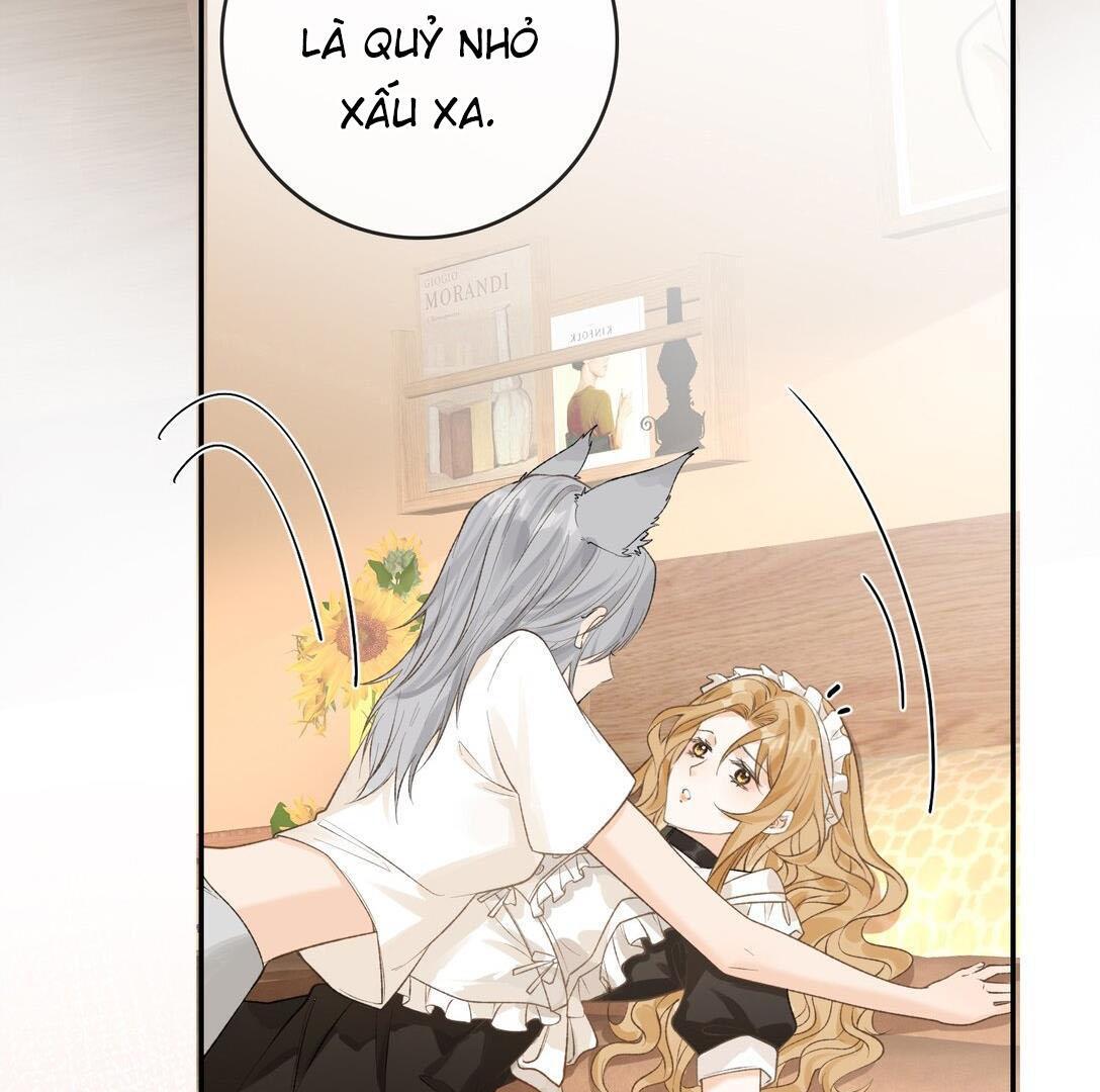 Sói Tiểu Thư Và Em Gái Hồ Ly Của Tôi Chapter 31 - Trang 2