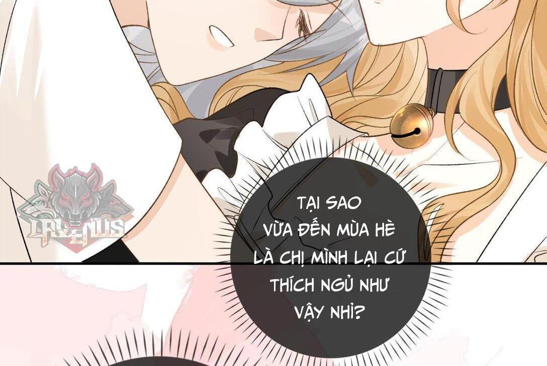 Sói Tiểu Thư Và Em Gái Hồ Ly Của Tôi Chapter 31 - Trang 2