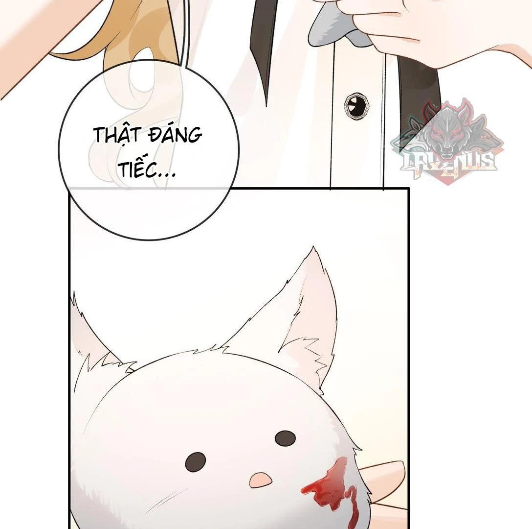 Sói Tiểu Thư Và Em Gái Hồ Ly Của Tôi Chapter 31 - Trang 2