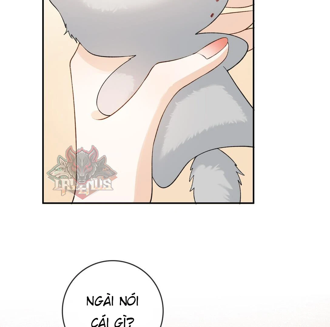 Sói Tiểu Thư Và Em Gái Hồ Ly Của Tôi Chapter 31 - Trang 2