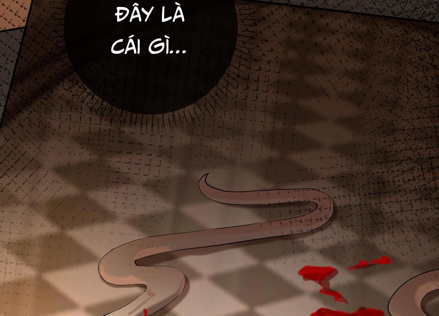 Sói Tiểu Thư Và Em Gái Hồ Ly Của Tôi Chapter 32 - Trang 2