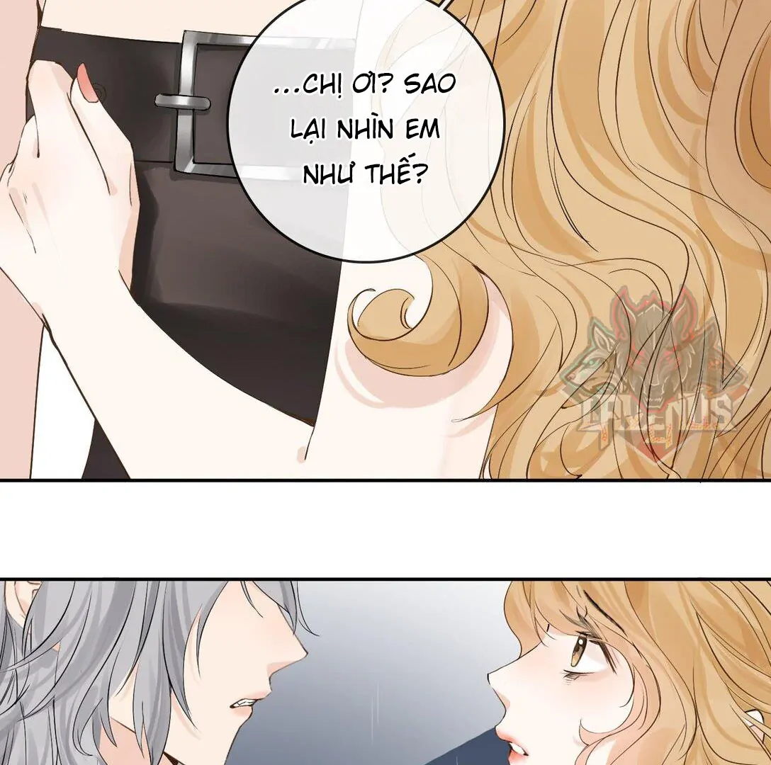 Sói Tiểu Thư Và Em Gái Hồ Ly Của Tôi Chapter 34 - Trang 2
